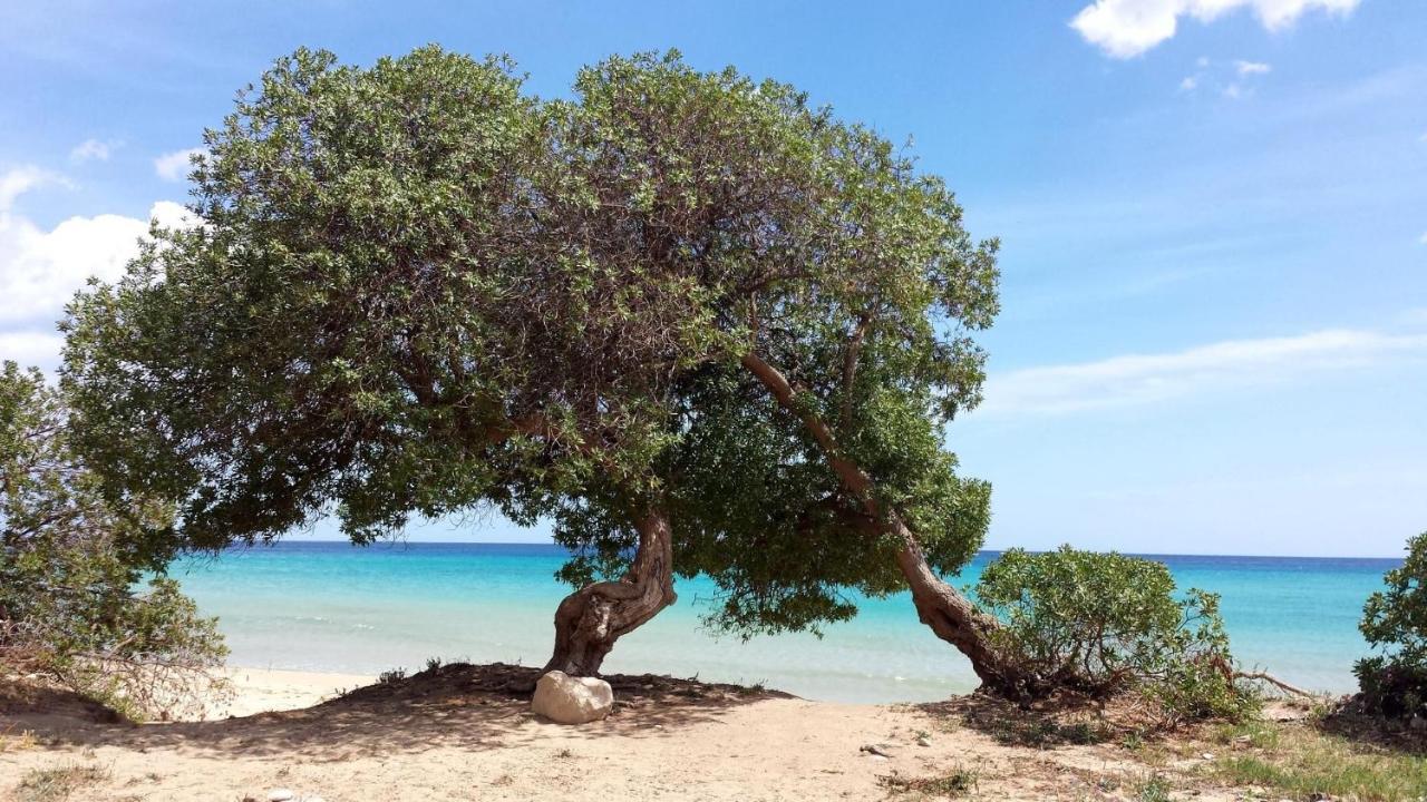 Terre Di Mare Near The Sandy Beach With Pool, Parking & Wifi Fontane Bianche Bagian luar foto